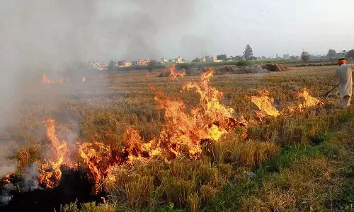 Haryana : कृषि विभाग ने किसानों को फसल अवशेष न जलाने की चेतावनी दी