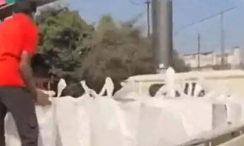 गोकुल नगर डेयरी में छापेमारी, नकली पनीर जब्त गोकुल नगर डेयरी में छापेमारी, नकली पनीर जब्त