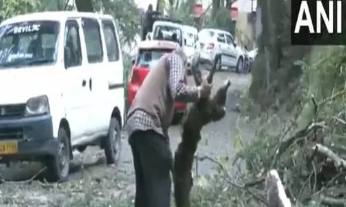 Shimla में तूफ़ान ने पेड़ों को उखाड़ दिया, सड़कें अवरुद्ध कर दीं