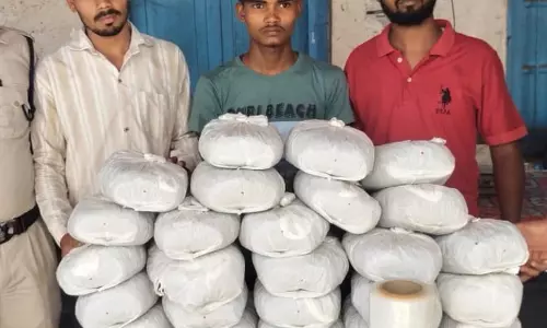 आरंग में गांजा छुपाकर रायपुर शहर में सप्लाई, तीन युवक गिरफ्तार