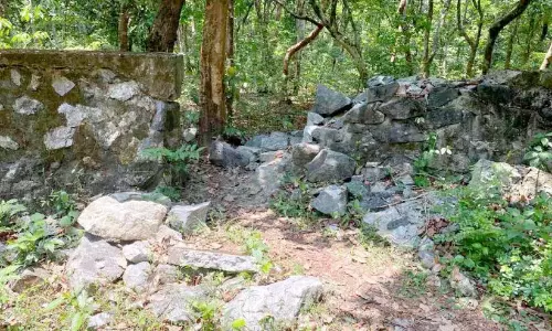 जंगली हाथी द्वारा नष्ट की गई सुरक्षा दीवार का पुनर्निर्माण नहीं किया ; हाथियों के बाड़े में आदिवासी