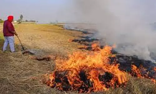 प्रशासन ने पराली जलाने वाले लोगों के खिलाफ लगाया जुर्माना प्रशासन ने पराली जलाने वाले लोगों के खिलाफ लगाया जुर्माना