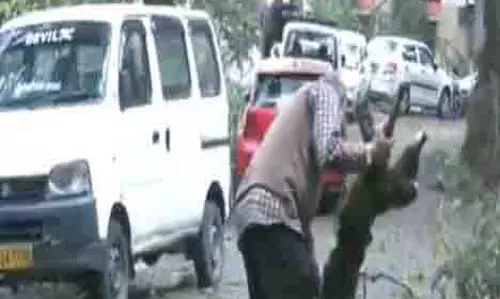 तूफान से फसलों को भारी नुकसान, अभी तक कोई हताहत नहीं: हिमाचल प्रदेश के राजस्व मंत्री