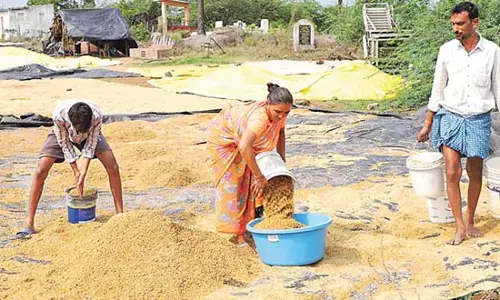 Telangana: बेमौसम बारिश ने किसानों की नींद उड़ा दी