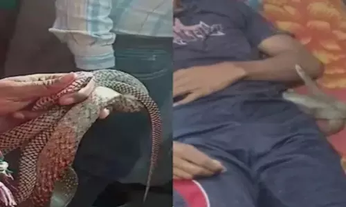 Meerut: पत्नी और ब्वॉयफ्रेंड ने पति को सांप से डंसवाया, पोस्टमार्टम रिपोर्ट ने किया चौंकाने वाला खुलासा Meerut: पत्नी और ब्वॉयफ्रेंड ने पति को सांप से डंसवाया, पोस्टमार्टम रिपोर्ट ने किया चौंकाने वाला खुलासा