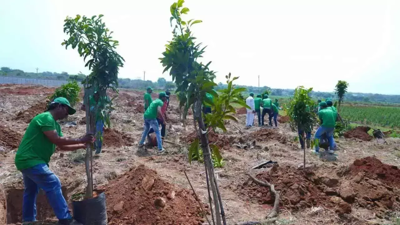 कर्मचारियों ने 600 से अधिक पौधे लगाकर पद्मश्री दरिपल्ली रामैया को श्रद्धांजलि दी कर्मचारियों ने 600 से अधिक पौधे लगाकर पद्मश्री दरिपल्ली रामैया को श्रद्धांजलि दी