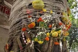 Vat Savitri Vrat 2025 Niyam: वट सावित्री व्रत में ये गलती पड़ सकती है महंगी, जानें व्रत के सभी नियम Vat Savitri Vrat 2025 Niyam: वट सावित्री व्रत में ये गलती पड़ सकती है महंगी, जानें व्रत के सभी नियम