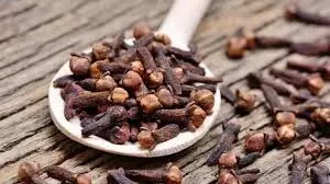 Health: क्या खाली पेट लौंग खाना पेट के लिए अच्छा है,जानिए इसके फायदे Health: क्या खाली पेट लौंग खाना पेट के लिए अच्छा है,जानिए इसके फायदे