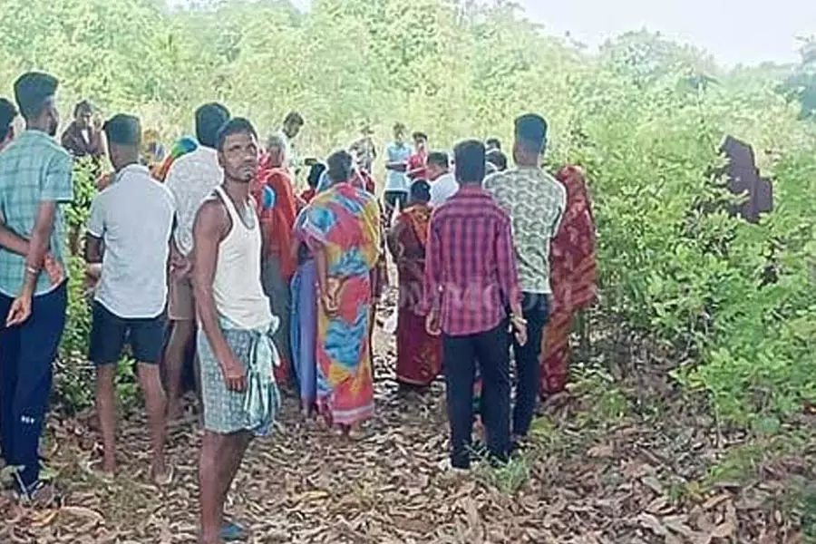 ढेंकनाल में हाथी ने बुजुर्ग महिला को कुचलकर मार डाला ढेंकनाल में हाथी ने बुजुर्ग महिला को कुचलकर मार डाला