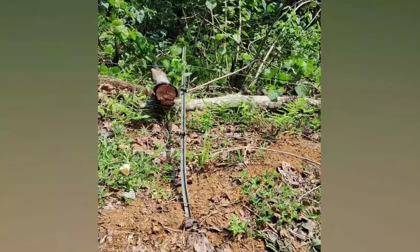 शिकारियों को नदी में प्रवेश करने से रोकने के लिए बनाई गई सौर बाड़ को नष्ट कर दिया शिकारियों को नदी में प्रवेश करने से रोकने के लिए बनाई गई सौर बाड़ को नष्ट कर दिया
