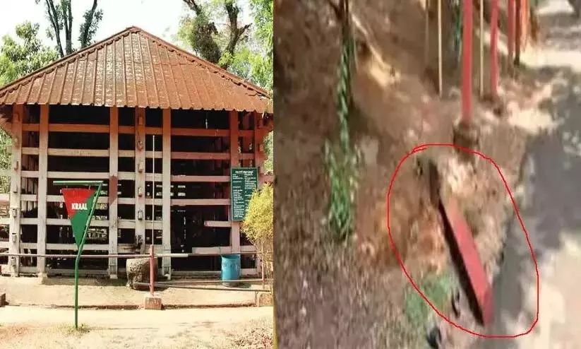 कोन्नी हाथी अभयारण्य में कंक्रीट का खंभा गिरा; चार साल के बच्चे का दुखद अंत कोन्नी हाथी अभयारण्य में कंक्रीट का खंभा गिरा; चार साल के बच्चे का दुखद अंत