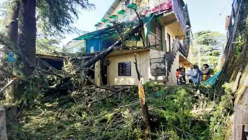 Shimla, किन्नौर में तेज तूफान और ओले गिरने से फल उत्पादकों को नुकसान Shimla, किन्नौर में तेज तूफान और ओले गिरने से फल उत्पादकों को नुकसान