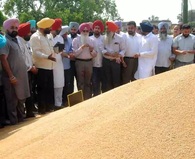 Amritsar: अंतरराज्यीय वाहन चोर गिरोह का भंडाफोड़, तीन लग्जरी कारों के साथ गिरफ्तार Amritsar: अंतरराज्यीय वाहन चोर गिरोह का भंडाफोड़, तीन लग्जरी कारों के साथ गिरफ्तार