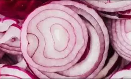 Health :जानिए कच्चा प्याज खाने के फायदे, कब और कैसे करना चाहिए सेवन Health :जानिए कच्चा प्याज खाने के फायदे, कब और कैसे करना चाहिए सेवन
