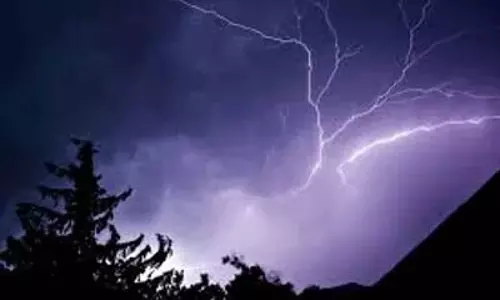 राजौरी में बिजली गिरने से दर्जनों जानवर मरे