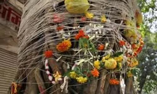 Vat Savitri Vrat 2025 Niyam: वट सावित्री व्रत में ये गलती पड़ सकती है महंगी, जानें व्रत के सभी नियम Vat Savitri Vrat 2025 Niyam: वट सावित्री व्रत में ये गलती पड़ सकती है महंगी, जानें व्रत के सभी नियम