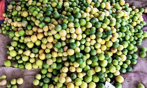 गर्मी बढ़ी: नींबू की कीमत 170 रुपये प्रति किलो पहुंची गर्मी बढ़ी: नींबू की कीमत 170 रुपये प्रति किलो पहुंची