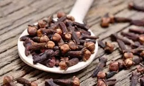 Health: क्या खाली पेट लौंग खाना पेट के लिए अच्छा है,जानिए इसके फायदे Health: क्या खाली पेट लौंग खाना पेट के लिए अच्छा है,जानिए इसके फायदे