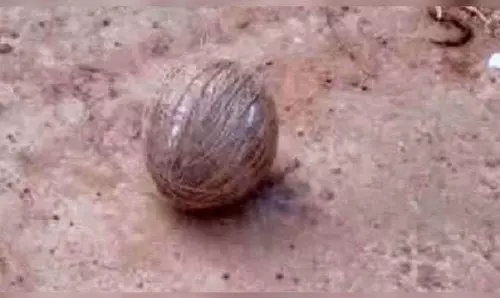 ओडिशा के भद्रक में अज्ञात लोगों ने फेंके देसी बम, सात घायल