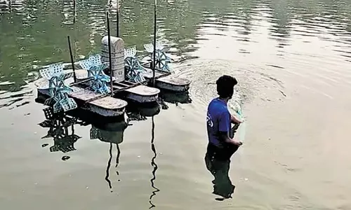 Andhra सरकार ने एक्वा फ़ीड के लिए नई मूल्य निर्धारण प्रणाली शुरू की