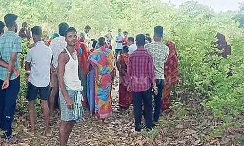ढेंकनाल में हाथी ने बुजुर्ग महिला को कुचलकर मार डाला