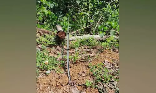 शिकारियों को नदी में प्रवेश करने से रोकने के लिए बनाई गई सौर बाड़ को नष्ट कर दिया