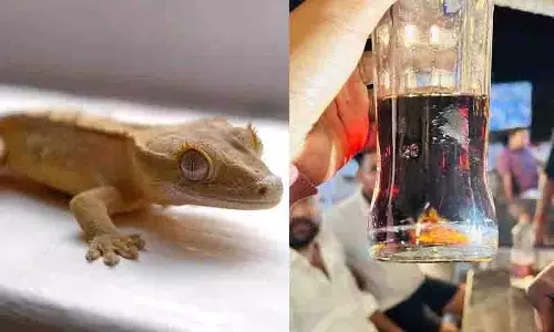 रेस्टोरेंट में Soft Drink की बोतल में मिली छिपकली की पूंछ, दो लोग अस्पताल में भर्ती