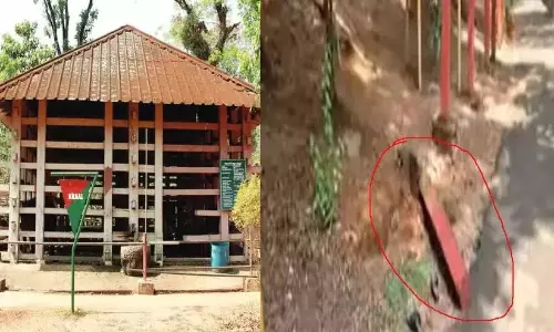कोन्नी हाथी अभयारण्य में कंक्रीट का खंभा गिरा; चार साल के बच्चे का दुखद अंत कोन्नी हाथी अभयारण्य में कंक्रीट का खंभा गिरा; चार साल के बच्चे का दुखद अंत