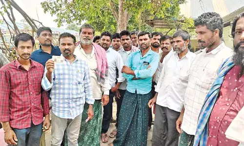 Andhra : मिर्च किसान के पास अब केवल आंसू ही बचे