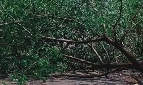 तटीय ओडिशा में आंधी-तूफान