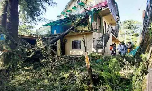 Shimla, किन्नौर में तेज तूफान और ओले गिरने से फल उत्पादकों को नुकसान Shimla, किन्नौर में तेज तूफान और ओले गिरने से फल उत्पादकों को नुकसान