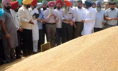 Amritsar: अंतरराज्यीय वाहन चोर गिरोह का भंडाफोड़, तीन लग्जरी कारों के साथ गिरफ्तार Amritsar: अंतरराज्यीय वाहन चोर गिरोह का भंडाफोड़, तीन लग्जरी कारों के साथ गिरफ्तार