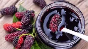 Mulberry Sherbet :शहतूत का शर्बत गर्मियों में शरीर को रखता है ठंडा, जानिए रेसिपी और फायदे Mulberry Sherbet :शहतूत का शर्बत गर्मियों में शरीर को रखता है ठंडा, जानिए रेसिपी और फायदे