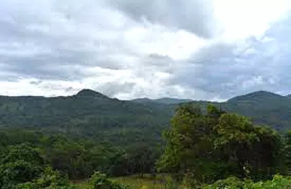 Bhubaneswar: हर मंगलवार को वन भूमि मंजूरी समीक्षा की Bhubaneswar: हर मंगलवार को वन भूमि मंजूरी समीक्षा की