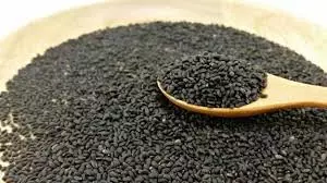 Sabja seeds :गर्मियों में सब्जा के बीज खाने के 5 आसान तरीके, सेहत को मिलेगा दोगुना फायदा Sabja seeds :गर्मियों में सब्जा के बीज खाने के 5 आसान तरीके, सेहत को मिलेगा दोगुना फायदा
