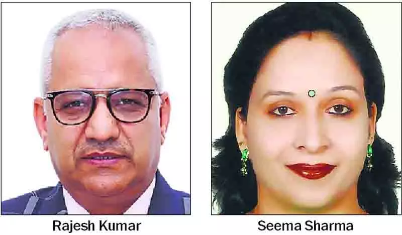 Punjab: सुलेख मानव व्यवहार की झलक प्रदान करता Punjab: सुलेख मानव व्यवहार की झलक प्रदान करता