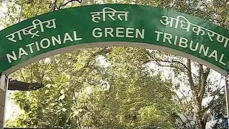 NGT ने जाजपुर में पत्थर के अवैध उत्खनन की जांच के लिए समिति गठित की NGT ने जाजपुर में पत्थर के अवैध उत्खनन की जांच के लिए समिति गठित की