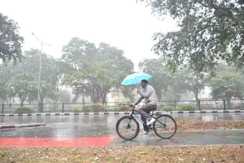 Chandigarh: हल्की बारिश से गर्मी से राहत मिली Chandigarh: हल्की बारिश से गर्मी से राहत मिली