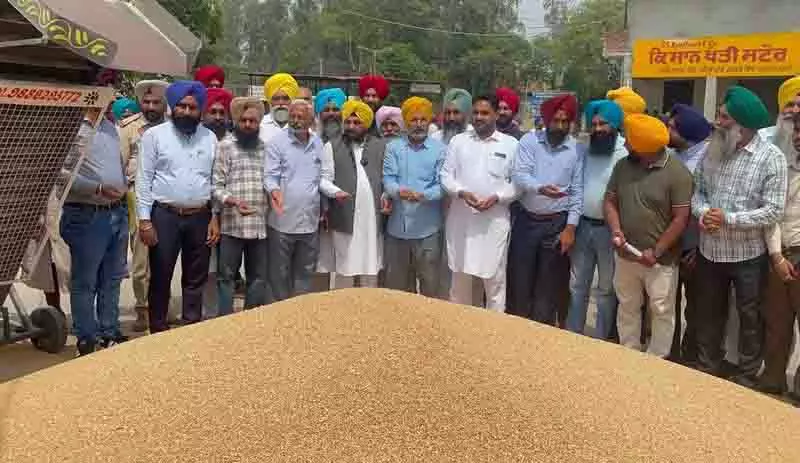 Amritsar: आसमान में बादल छाए रहने से किसान चिंतित Amritsar: आसमान में बादल छाए रहने से किसान चिंतित