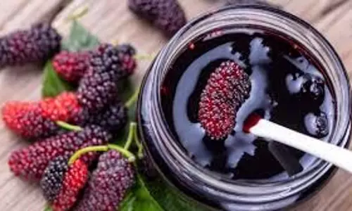 Mulberry Sherbet :शहतूत का शर्बत गर्मियों में शरीर को रखता है ठंडा, जानिए रेसिपी और फायदे Mulberry Sherbet :शहतूत का शर्बत गर्मियों में शरीर को रखता है ठंडा, जानिए रेसिपी और फायदे