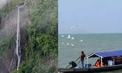ओडिशा में जैव विविधता के शीर्ष 5 हॉटस्पॉट