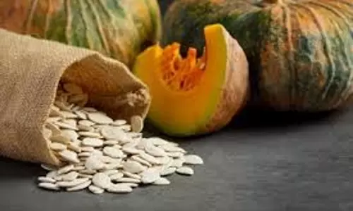 Pumpkin Seeds Benefits: जानिए कद्दू के बीज के  फायदे