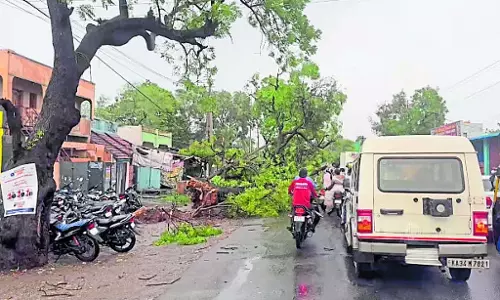 कर्नाटक में भारी बारिश: कई जगहों पर फसलों को नुकसान