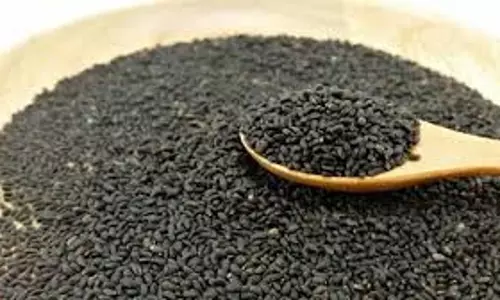 Sabja seeds :गर्मियों में सब्जा के बीज खाने के 5 आसान तरीके, सेहत को मिलेगा दोगुना फायदा
