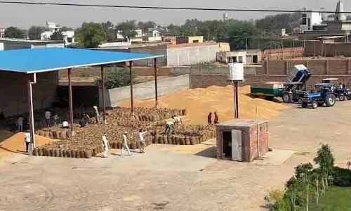 Punjab: दो अवैध अनाज गोदामों का पता चला