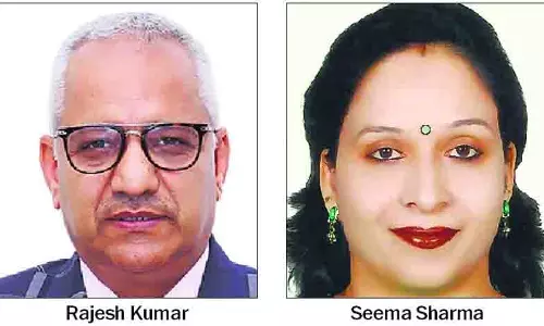 Punjab: सुलेख मानव व्यवहार की झलक प्रदान करता Punjab: सुलेख मानव व्यवहार की झलक प्रदान करता