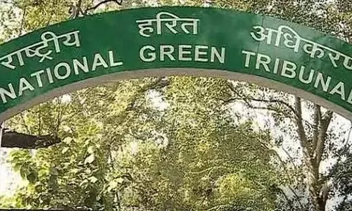 NGT ने जाजपुर में पत्थर के अवैध उत्खनन की जांच के लिए समिति गठित की