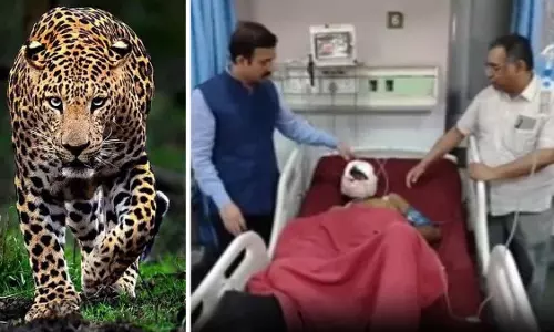 Bareilly: तेंदुए के हमले में घायल किसान की इलाज के दौरान मौत