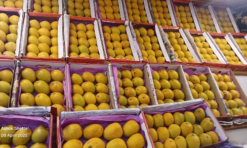 Bagalkot : आम की आपूर्ति में गिरावट
