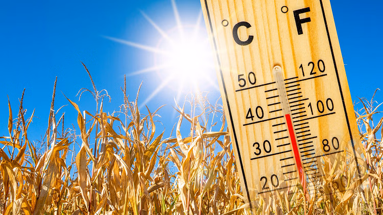Heat Wave Alert: राजस्थान के कुछ हिस्सों में लू चलने की संभावना